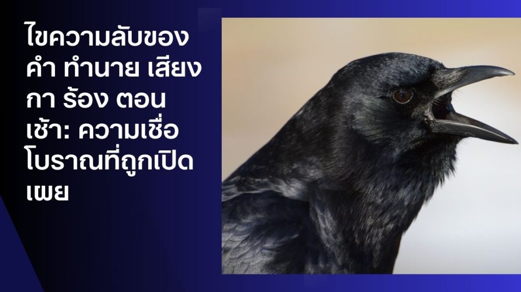 คํา ทํานาย เสียง กา ร้อง ตอนเช้า