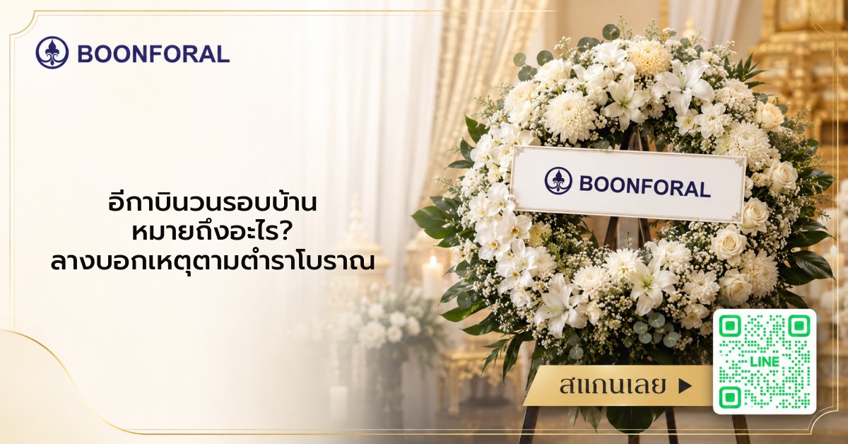 อีกาบินวนรอบบ้าน - อีกาบินวนรอบบ้าน หมายถึงอะไร? ลางบอกเหตุตามตำราโบราณ
